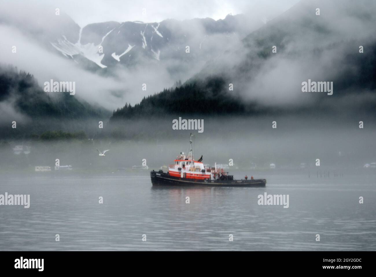Das Boot nähert sich dem Seward-Bootshafen, Seward, Alaska, USA Stockfoto