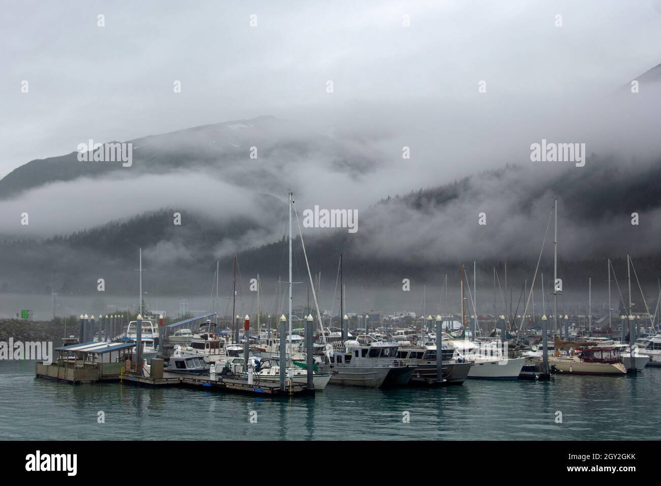 Seward Boat Harbor an einem nebligen Tag, Seward, Alaska, USA Stockfoto