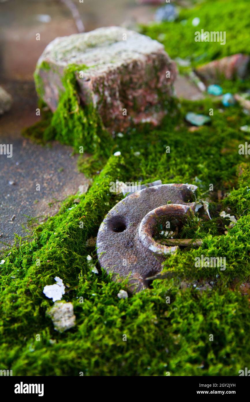 Zunder und Maschinen mit grünen Moosen überwuchert Stockfoto