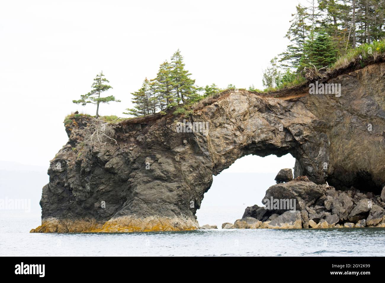 Natural Arch in Halibut Cove, Kachemak Bay, Kenai Peninsula, Alaska, USA Stockfoto