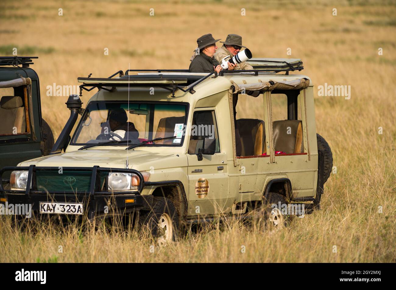 Kaukasische Touristen stehen in einem 4x4 Toyota Landruiser mit großer SLR-Kamera wartet, Masai Mara, Kenia Stockfoto