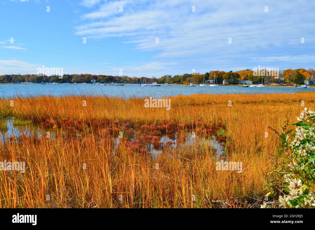 Ein Salzmarsch im Hafen auf Long Island in den Herbstspitzen. Setauket Harbor, NY. Kopierbereich Stockfoto