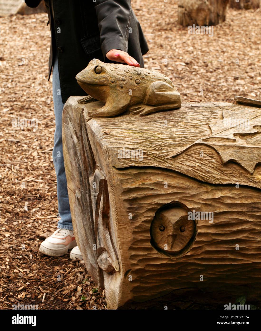 Kröte oder Frosch aus einem gefällten Baumstamm geschnitzt. Stockfoto
