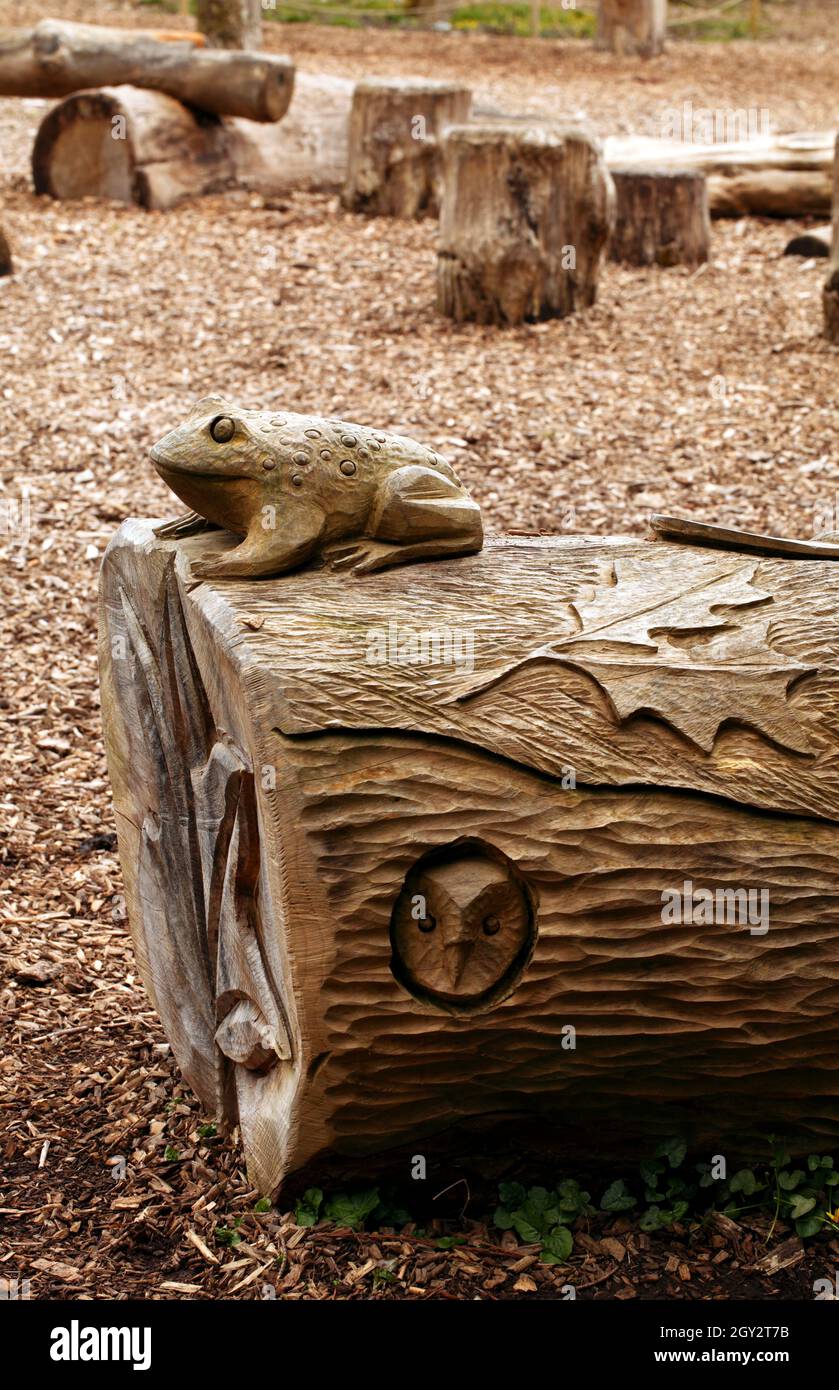 Kröte oder Frosch aus einem gefällten Baumstamm geschnitzt. Stockfoto