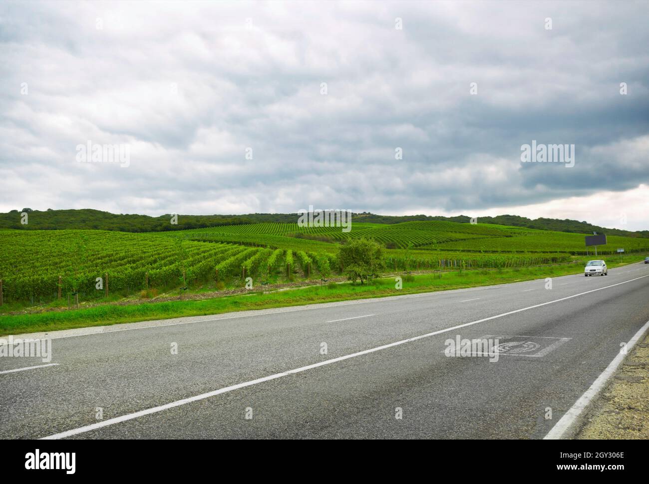 Eine Reise ins Krasnodar-Territorium, Russland. Weinberge von der Straße aus sichtbar Stockfoto