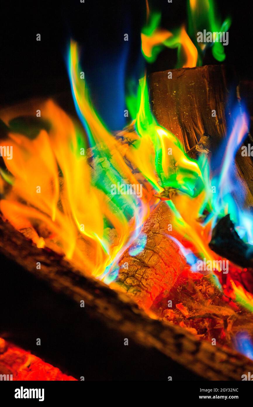 Schillernde Feuerzungen lecken an Aschenstämmen Stockfoto