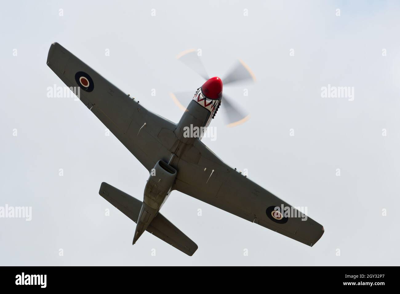 Shark Mouth RAF P51D Mustang auf der Duxford Airshow Stockfoto