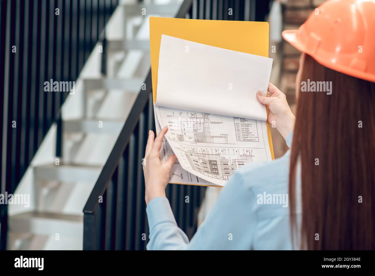 Bauplan in den Händen einer Frau mit Rücken Stockfoto