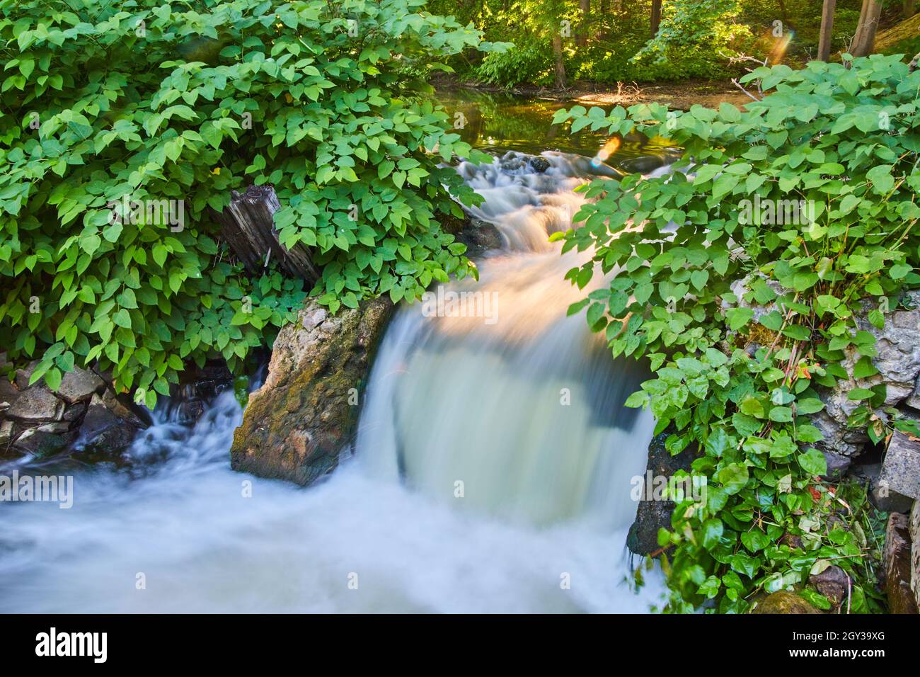 Kleiner Wasserfall über Trümmern mit grünen Büschen Stockfoto