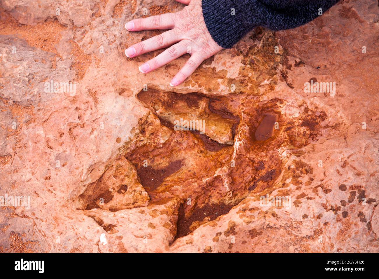 Dinosaurier-Fußabdrücke und mehr in der Nähe von Tuba usa Stockfoto