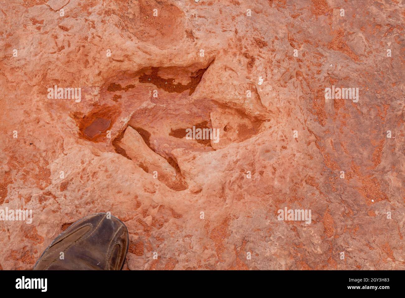 Dinosaurier-Fußabdrücke und mehr in der Nähe von Tuba usa Stockfoto Dinosaurier-Fußabdrücke und mehr in der Nähe von Tuba usa Stockfoto