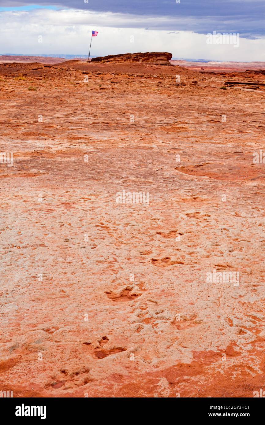 Dinosaurier-Fußabdrücke und mehr in der Nähe von Tuba usa Stockfotografie -  Alamy