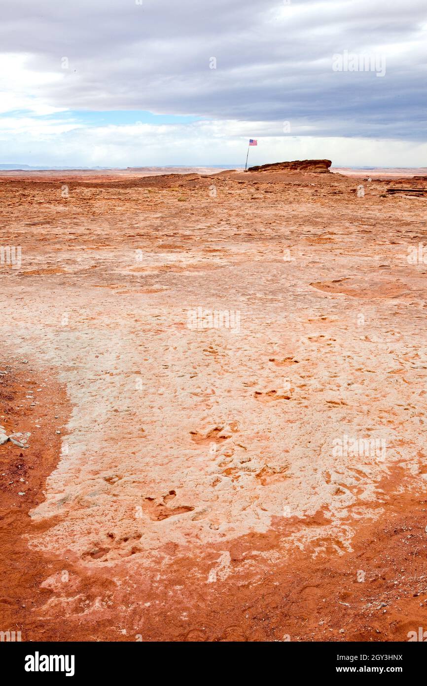Dinosaurier-Fußabdrücke und mehr in der Nähe von Tuba usa Stockfoto Dinosaurier-Fußabdrücke und mehr in der Nähe von Tuba usa Stockfoto
