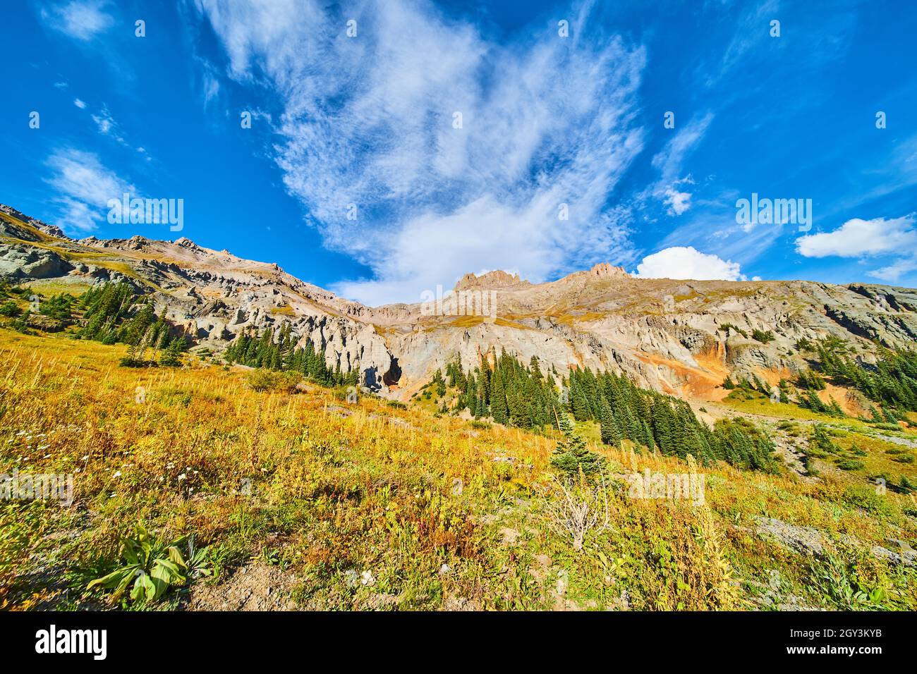 Berglandschaft mit goldenen Feldern und blauem Himmel Stockfoto