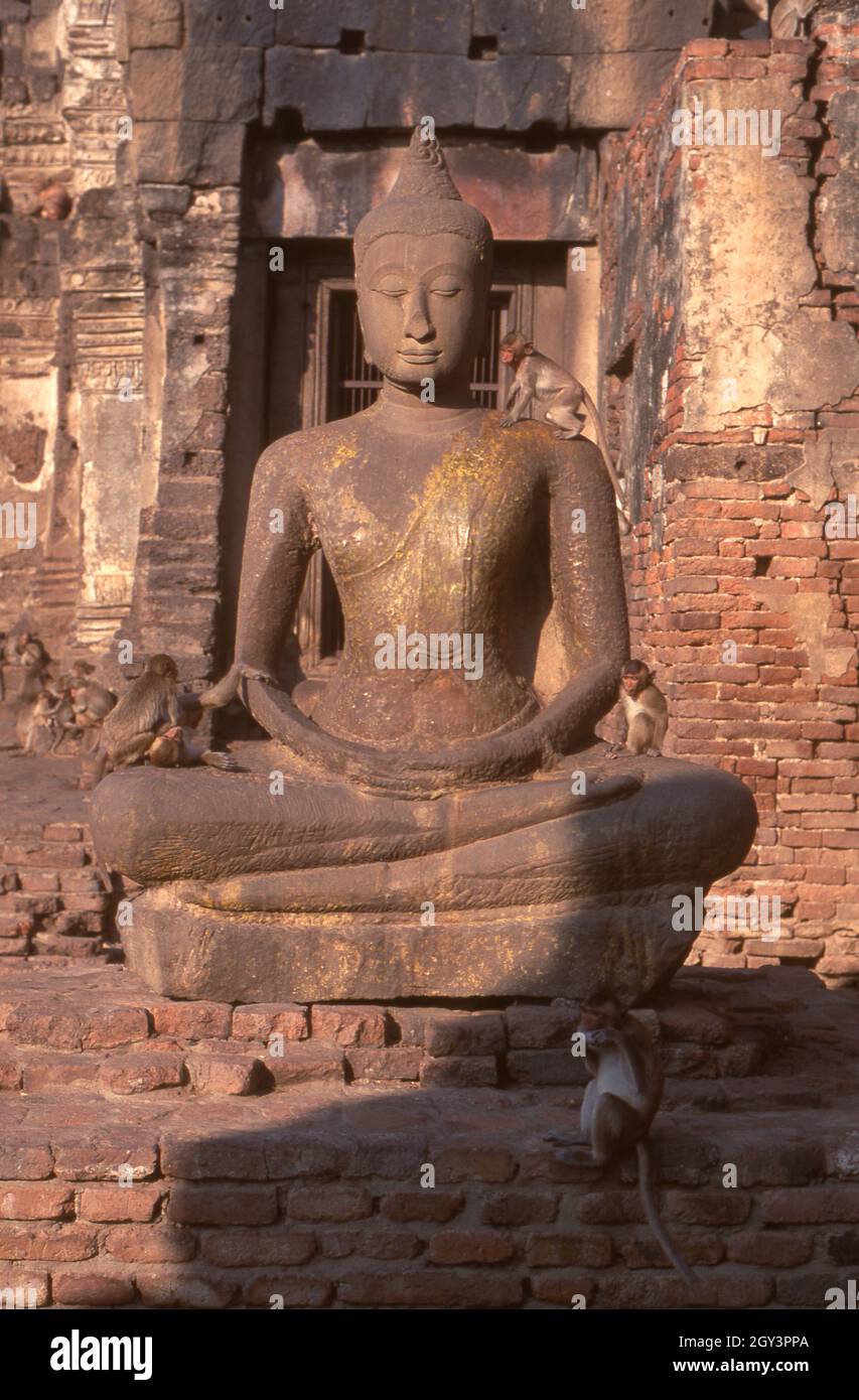 Thailand: Buddha und Affen im 13. Jahrhundert Prang Sam Yot, Lopburi. Ursprünglich ein Hindu-Schrein von Khmer, hat er drei Zacken, die früher Brahma, Vishnu und Shiva (die Hindu-trinität) repräsentierten. Es wurde später in einen buddhistischen Schrein umgewandelt. Es wurde später in einen buddhistischen Schrein umgewandelt. Die Altstadt von Lopburi stammt aus der Dvaravati-Ära (6. - 13. Jahrhundert). Es war ursprünglich als Lavo oder Lavapura bekannt. Nach der Gründung des Königreichs Ayutthaya im 15. Jahrhundert war Lopburi eine Festung der Herrscher Ayutthayas. Es wurde später eine neue königliche Hauptstadt während der Herrschaft von König Narai dem Großen Stockfoto