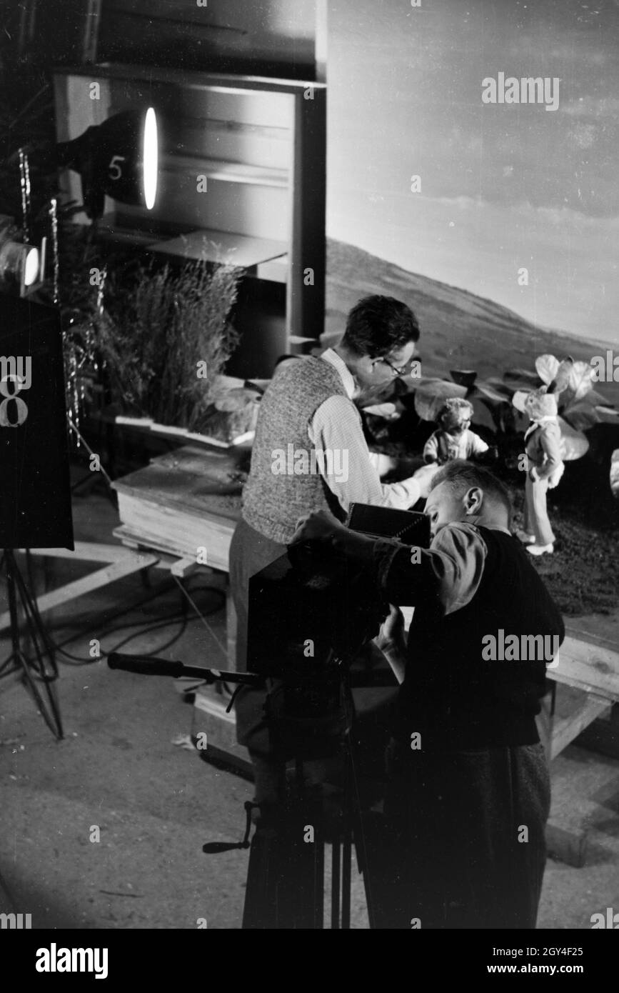 Filmaufnahmen mit dem Satz vom Puppenfilm "Der Wettlauf zwischen dem Hasen und dem Igel mit der Figur Mecki, unter der Produktion und Leitung der Gebrüder Diehl, Deutschland 1930er Jahre. Die Dreharbeiten zu dem Satz der Marionette Film Der Hase und der Igel mit der Charakter Mecki, produziert und durch die Diehl Brüder geleitet, Deutschland 1930. Stockfoto