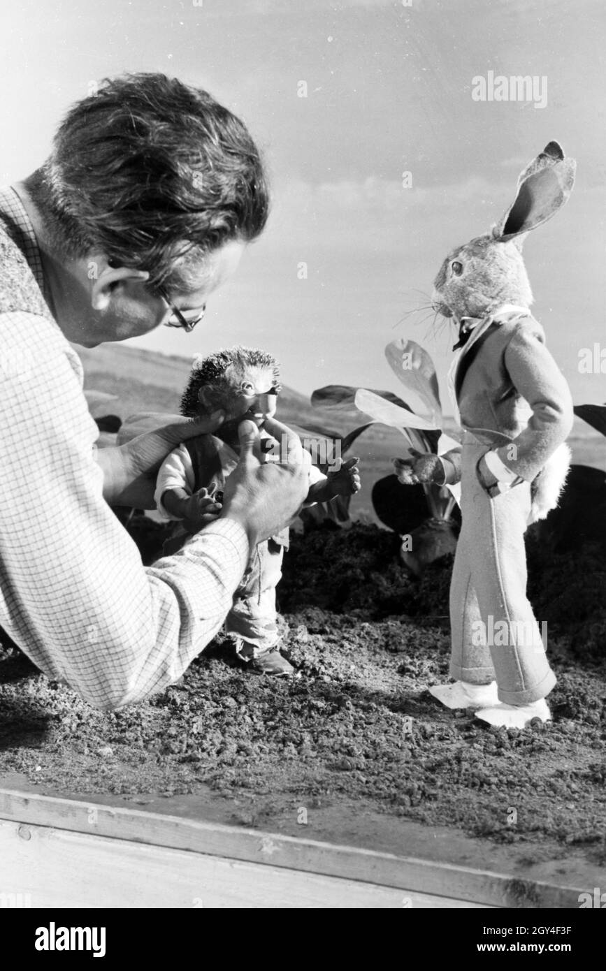 Filmaufnahmen mit dem Satz vom Puppenfilm "Der Wettlauf zwischen dem Hasen und dem Igel mit der Figur Mecki, unter der Produktion und Leitung der Gebrüder Diehl, Deutschland 1930er Jahre. Die Dreharbeiten zu dem Satz der Marionette Film Der Hase und der Igel mit der Charakter Mecki, produziert und durch die Diehl Brüder geleitet, Deutschland 1930. Stockfoto