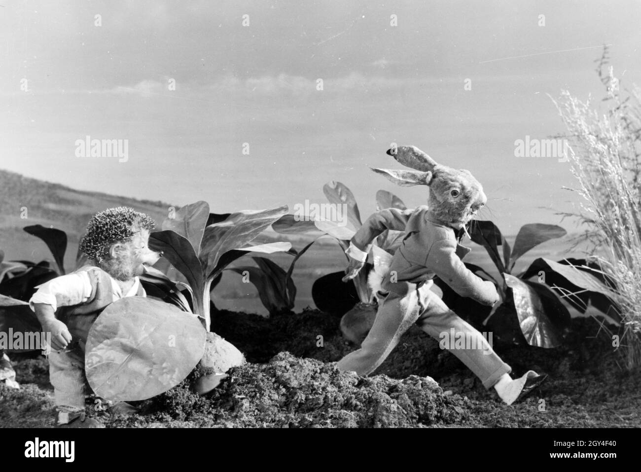 Filmaufnahmen mit dem Satz vom Puppenfilm "Der Wettlauf zwischen dem Hasen und dem Igel mit der Figur Mecki, unter der Produktion und Leitung der Gebrüder Diehl, Deutschland 1930er Jahre. Die Dreharbeiten zu dem Satz der Marionette Film Der Hase und der Igel mit der Charakter Mecki, produziert und durch die Diehl Brüder geleitet, Deutschland 1930. Stockfoto