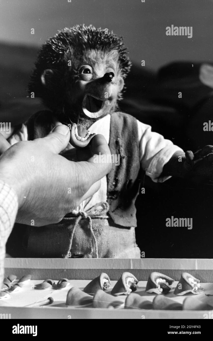 Filmaufnahmen mit dem Satz vom Puppenfilm "Der Wettlauf zwischen dem Hasen und dem Igel mit der Figur Mecki, unter der Produktion und Leitung der Gebrüder Diehl, Deutschland 1930er Jahre. Die Dreharbeiten zu dem Satz der Marionette Film Der Hase und der Igel mit der Charakter Mecki, produziert und durch die Diehl Brüder geleitet, Deutschland 1930. Stockfoto