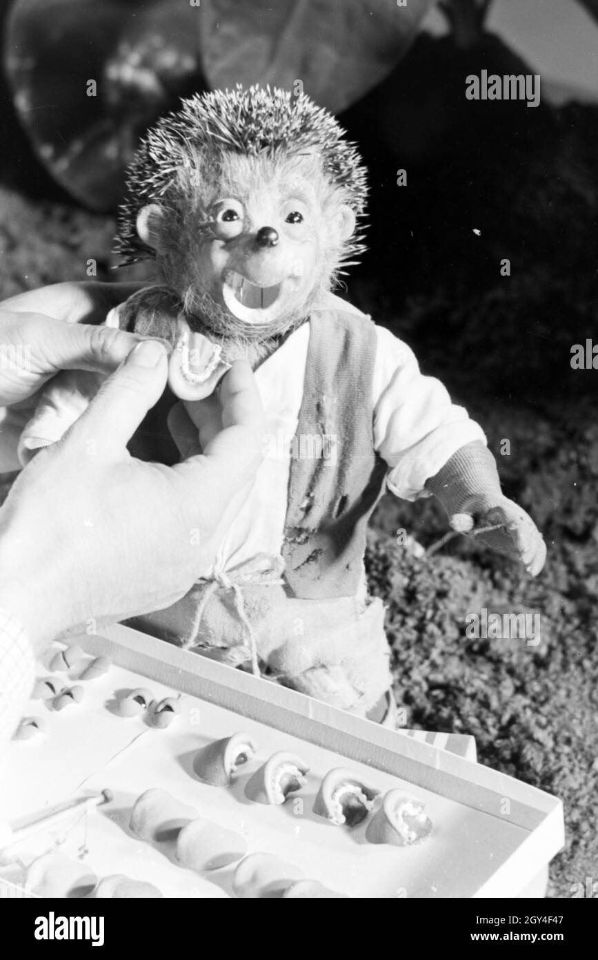Filmaufnahmen mit dem Satz vom Puppenfilm "Der Wettlauf zwischen dem Hasen und dem Igel mit der Figur Mecki, unter der Produktion und Leitung der Gebrüder Diehl, Deutschland 1930er Jahre. Die Dreharbeiten zu dem Satz der Marionette Film Der Hase und der Igel mit der Charakter Mecki, produziert und durch die Diehl Brüder geleitet, Deutschland 1930. Stockfoto
