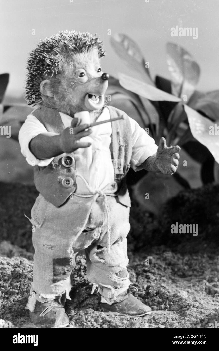 Filmaufnahmen mit dem Satz vom Puppenfilm "Der Wettlauf zwischen dem Hasen und dem Igel mit der Figur Mecki, unter der Produktion und Leitung der Gebrüder Diehl, Deutschland 1930er Jahre. Die Dreharbeiten zu dem Satz der Marionette Film Der Hase und der Igel mit der Charakter Mecki, produziert und durch die Diehl Brüder geleitet, Deutschland 1930. Stockfoto