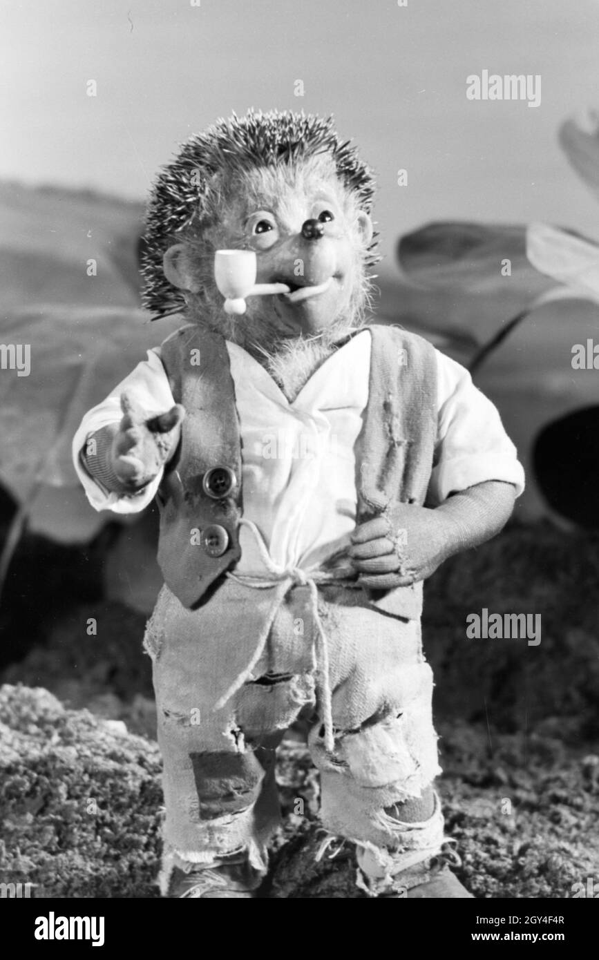 Filmaufnahmen mit dem Satz vom Puppenfilm "Der Wettlauf zwischen dem Hasen und dem Igel mit der Figur Mecki, unter der Produktion und Leitung der Gebrüder Diehl, Deutschland 1930er Jahre. Die Dreharbeiten zu dem Satz der Marionette Film Der Hase und der Igel mit der Charakter Mecki, produziert und durch die Diehl Brüder geleitet, Deutschland 1930. Stockfoto