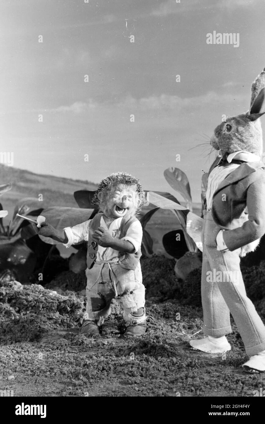 Filmaufnahmen mit dem Satz vom Puppenfilm "Der Wettlauf zwischen dem Hasen und dem Igel mit der Figur Mecki, unter der Produktion und Leitung der Gebrüder Diehl, Deutschland 1930er Jahre. Die Dreharbeiten zu dem Satz der Marionette Film Der Hase und der Igel mit der Charakter Mecki, produziert und durch die Diehl Brüder geleitet, Deutschland 1930. Stockfoto