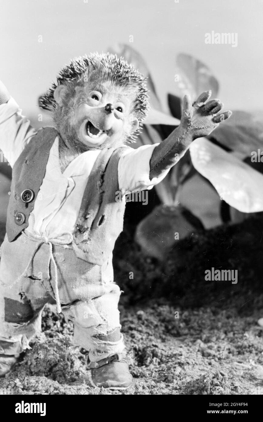 Filmaufnahmen mit dem Satz vom Puppenfilm "Der Wettlauf zwischen dem Hasen und dem Igel mit der Figur Mecki, unter der Produktion und Leitung der Gebrüder Diehl, Deutschland 1930er Jahre. Die Dreharbeiten zu dem Satz der Marionette Film Der Wettlauf zwischen dem Hasen und dem Igel mit dem Charakter Mecki, produziert und durch die Diehl Brüder geleitet, Deutschland 1930. Stockfoto