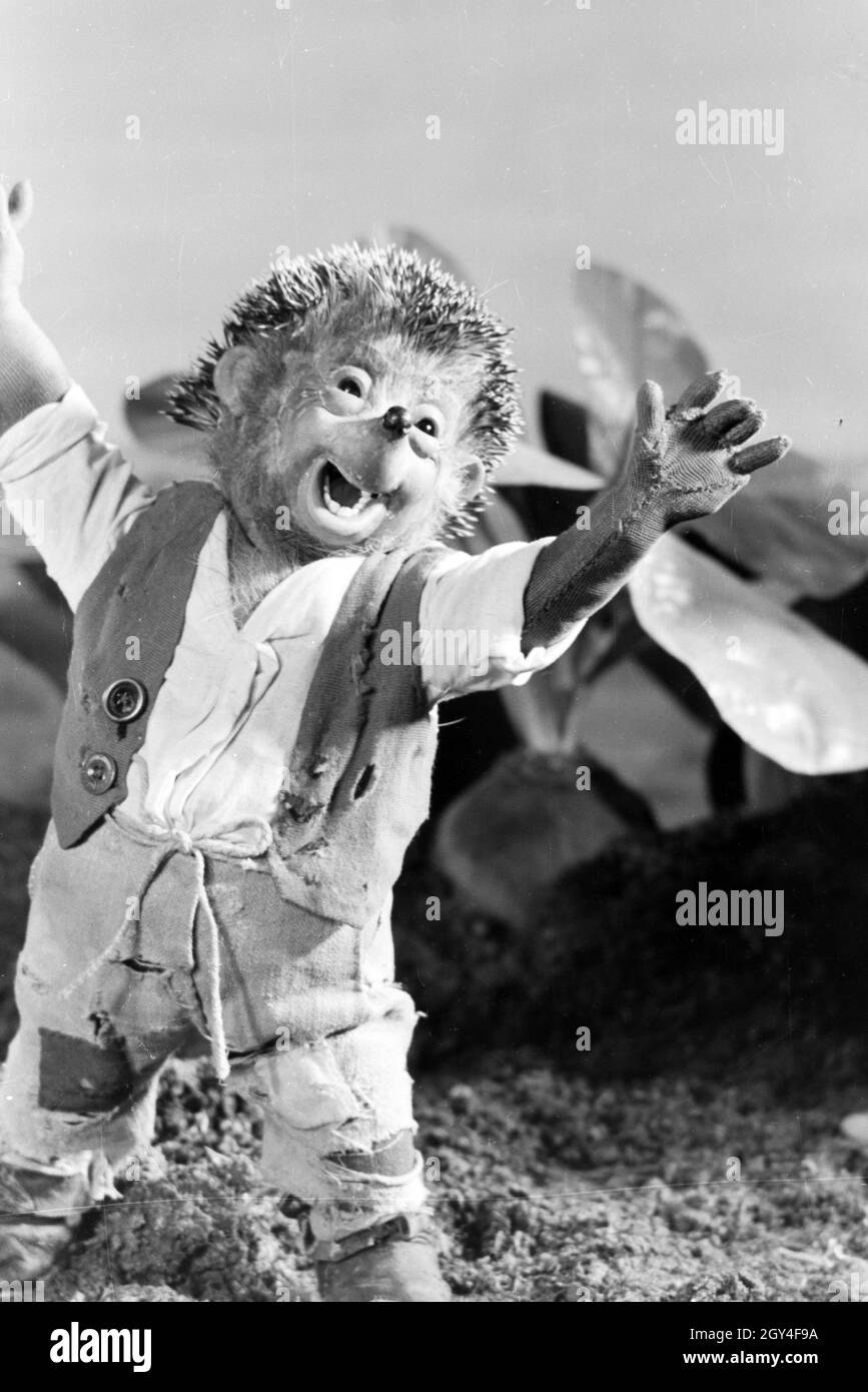 Filmaufnahmen mit dem Satz vom Puppenfilm "Der Wettlauf zwischen dem Hasen und dem Igel mit der Figur Mecki, unter der Produktion und Leitung der Gebrüder Diehl, Deutschland 1930er Jahre. Die Dreharbeiten zu dem Satz der Marionette Film Der Wettlauf zwischen dem Hasen und dem Igel mit dem Charakter Mecki, produziert und durch die Diehl Brüder geleitet, Deutschland 1930. Stockfoto