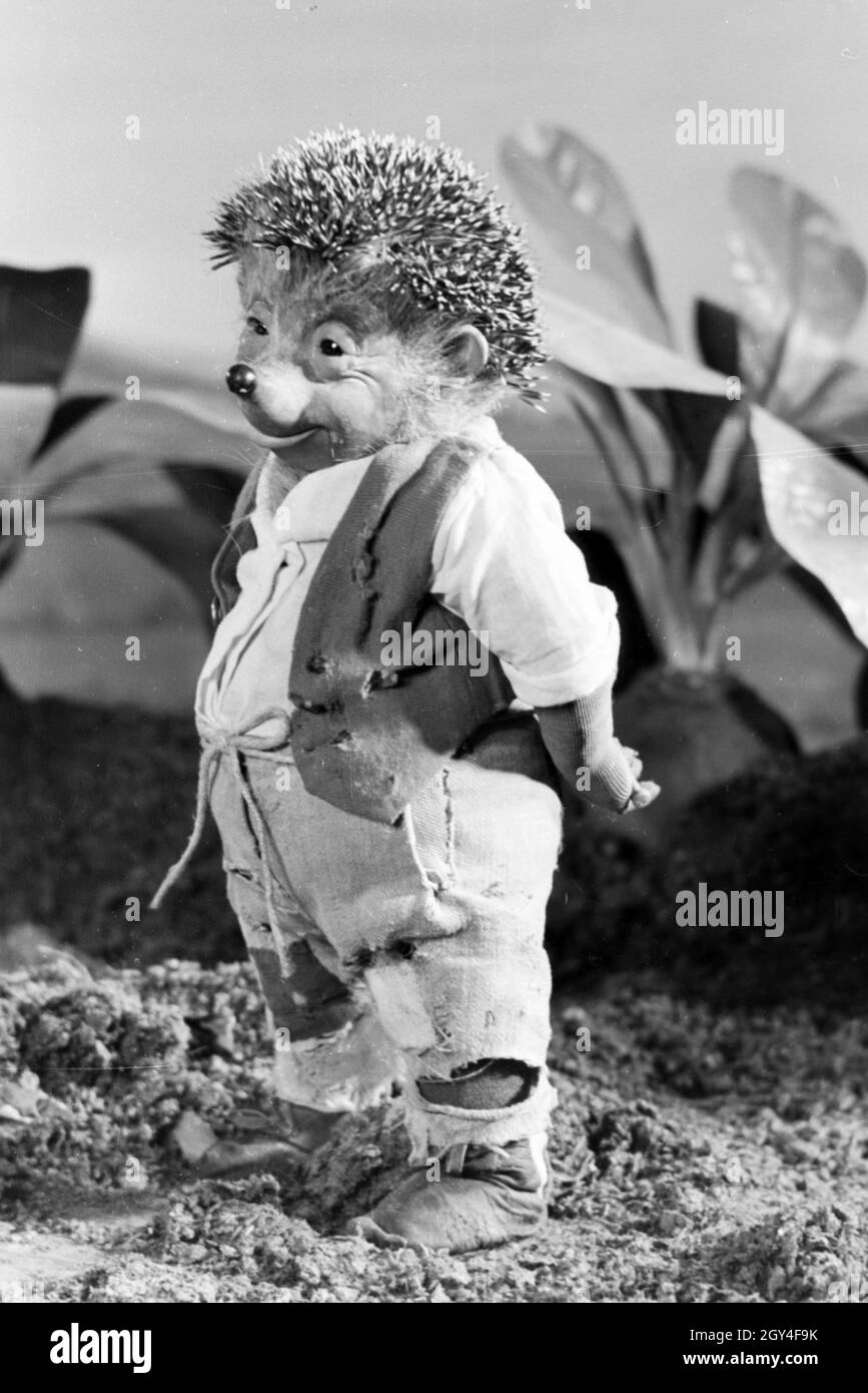 Filmaufnahmen mit dem Satz vom Puppenfilm "Der Wettlauf zwischen dem Hasen und dem Igel mit der Figur Mecki, unter der Produktion und Leitung der Gebrüder Diehl, Deutschland 1930er Jahre. Die Dreharbeiten zu dem Satz der Marionette Film Der Wettlauf zwischen dem Hasen und dem Igel mit dem Charakter Mecki, produziert und durch die Diehl Brüder geleitet, Deutschland 1930. Stockfoto