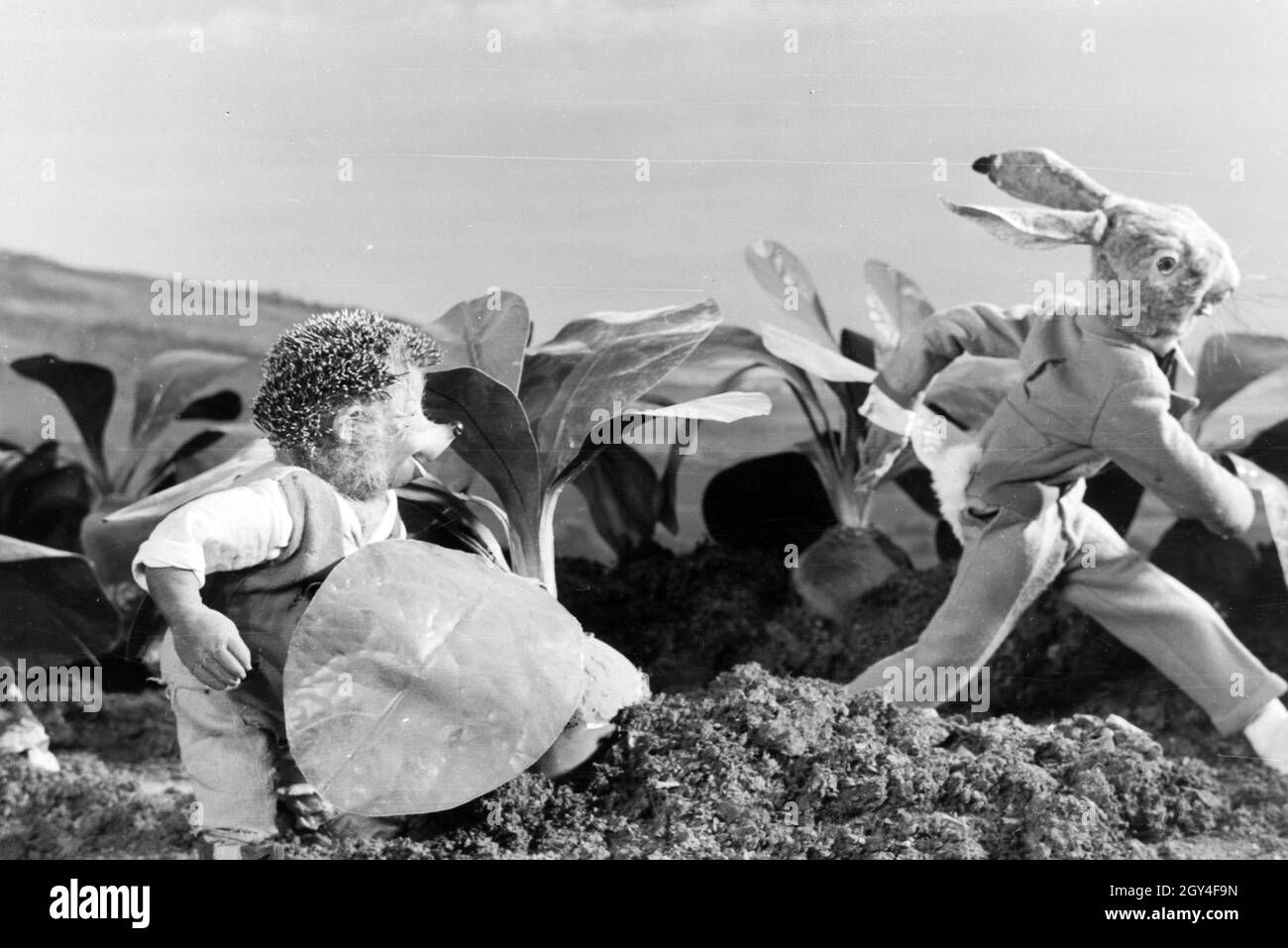 Filmaufnahmen mit dem Satz vom Puppenfilm "Der Wettlauf zwischen dem Hasen und dem Igel mit der Figur Mecki, unter der Produktion und Leitung der Gebrüder Diehl, Deutschland 1930er Jahre. Die Dreharbeiten zu dem Satz der Marionette Film Der Wettlauf zwischen dem Hasen und dem Igel mit dem Charakter Mecki, produziert und durch die Diehl Brüder geleitet, Deutschland 1930. Stockfoto