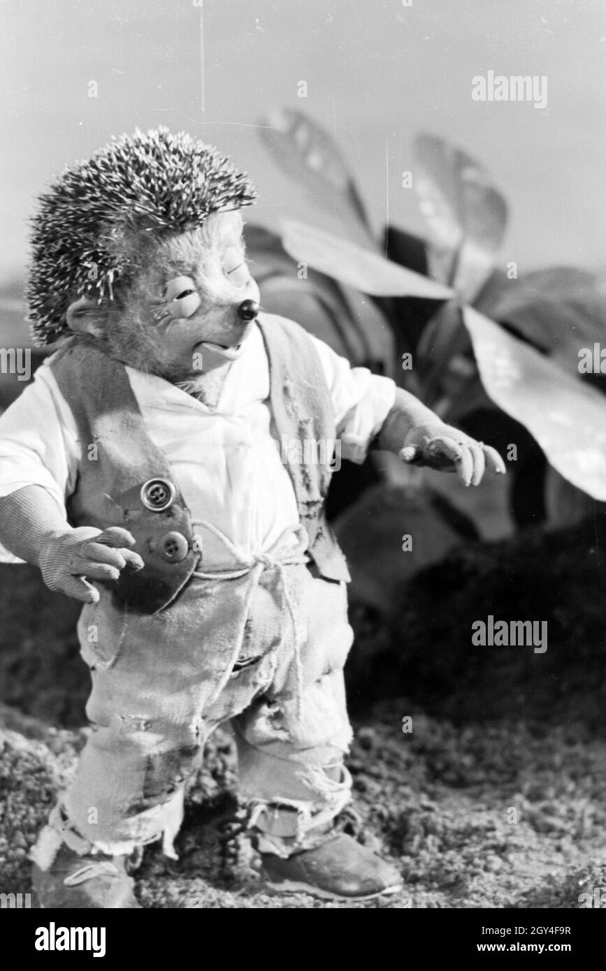 Filmaufnahmen mit dem Satz vom Puppenfilm "Der Wettlauf zwischen dem Hasen und dem Igel mit der Figur Mecki, unter der Produktion und Leitung der Gebrüder Diehl, Deutschland 1930er Jahre. Die Dreharbeiten zu dem Satz der Marionette Film Der Wettlauf zwischen dem Hasen und dem Igel mit dem Charakter Mecki, produziert und durch die Diehl Brüder geleitet, Deutschland 1930. Stockfoto
