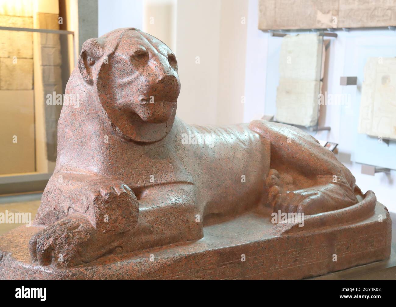 Rote Granitskulptur, die den ägyptischen Pharao Amenhotep III als Löwen aus Napata, Sudan, zeigt, im British Museum, London, Großbritannien Stockfoto