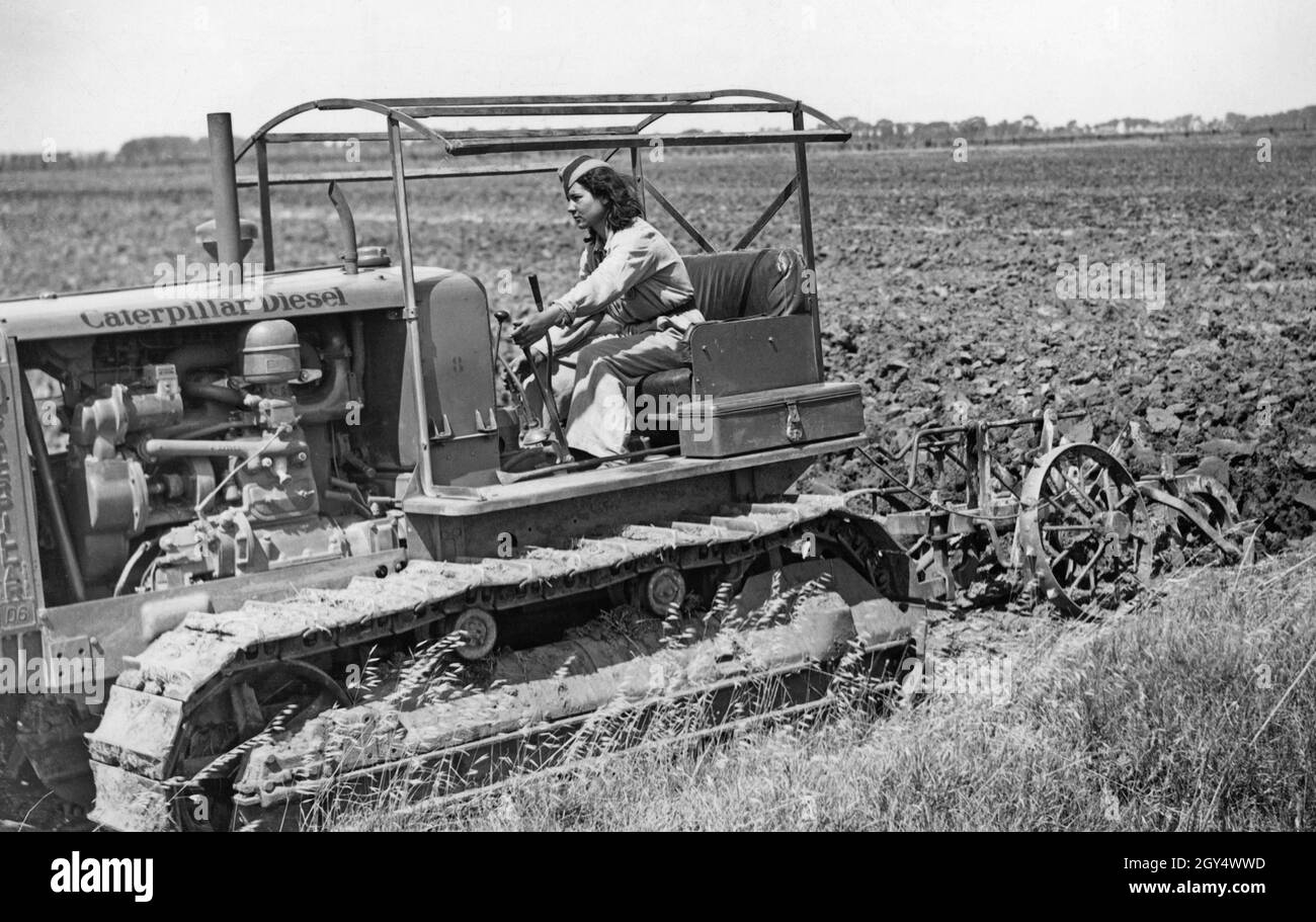 „Dieses Foto, aufgenommen am 20. Juli 1940 in der Nähe von Maccarese westlich von Rom, zeigt eine junge Italienerin, die mit einem Caterpillar-Traktor ein Feld pflügt. Sie ist als Traktorfahrerin in der Landwirtschaft beschäftigt, da viele Männer als Soldaten im Krieg sind. Für die faschistische Propaganda dienten Bilder wie diese als Beweis für die 'Mobilisierung von Frauenarbeit'. [Automatisierte Übersetzung]' Stockfoto