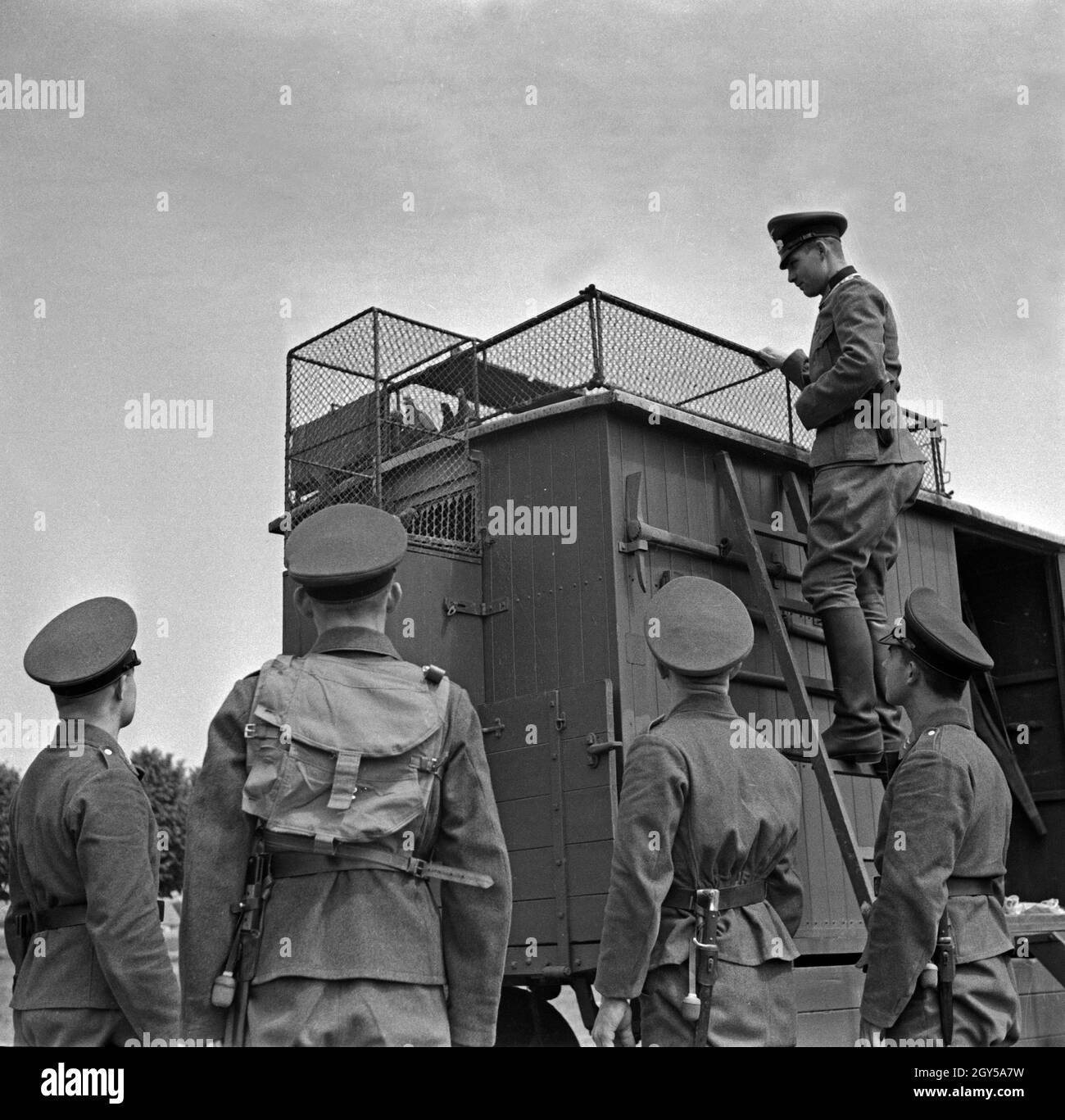 Rekruten der Luftwaffe der Wehrmacht bei der Ausbildung einer Komposition in der mobilen Brieftaubenschlag Heeres-Brieftauben-Anstalt in Position, Berlin Spandau 1930er Jahre. Rekruten der Deutschen Luftwaffe mit einem mobilen Taubenschlag für Brieftauben, Berlin Spandau 1930. Stockfoto