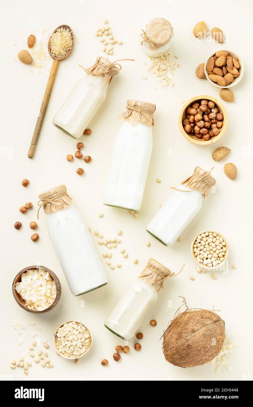 Vegane Milch auf pflanzlicher Basis ohne Milchprodukte in Flaschen und Zutaten auf hellem Hintergrund (Mandel, Haselnuss, Reis, Hafer, Soja, Kokosnuss). Alternative laktosefrei Stockfoto