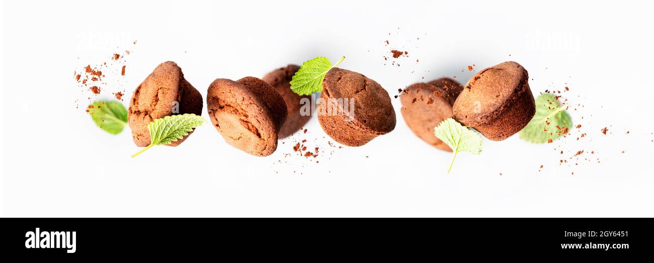 Schokoladen-Muffins mit Minzblättern auf hellgrauem Hintergrund, Banner Stockfoto