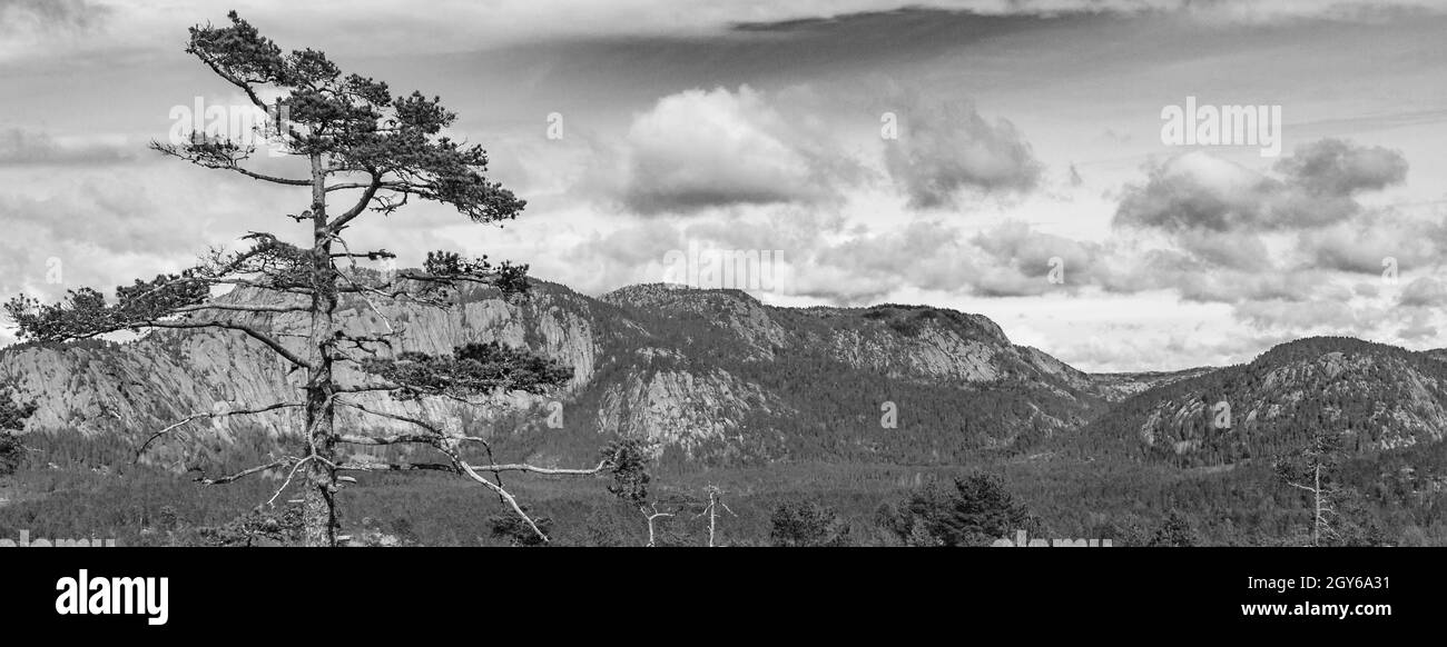 Schwarz-Weiß-Bild des Morgenaufgangs mit Nebelwolken und Bergen in der Naturlandschaft Treungen in Nissedal Norwegen. Stockfoto