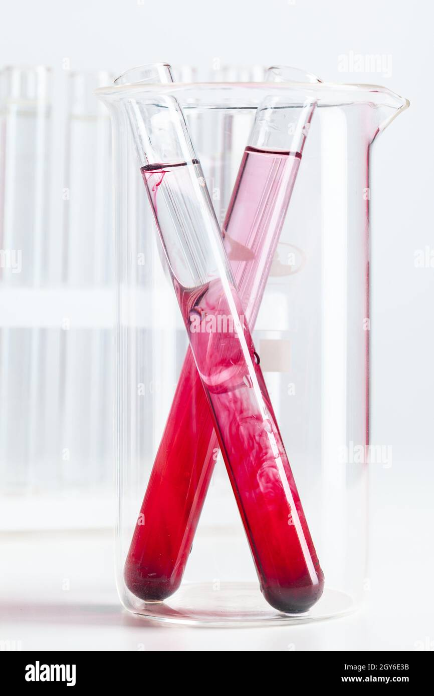 Testflaschen mit Farbproben auf hellgrauem Hintergrund Stockfoto