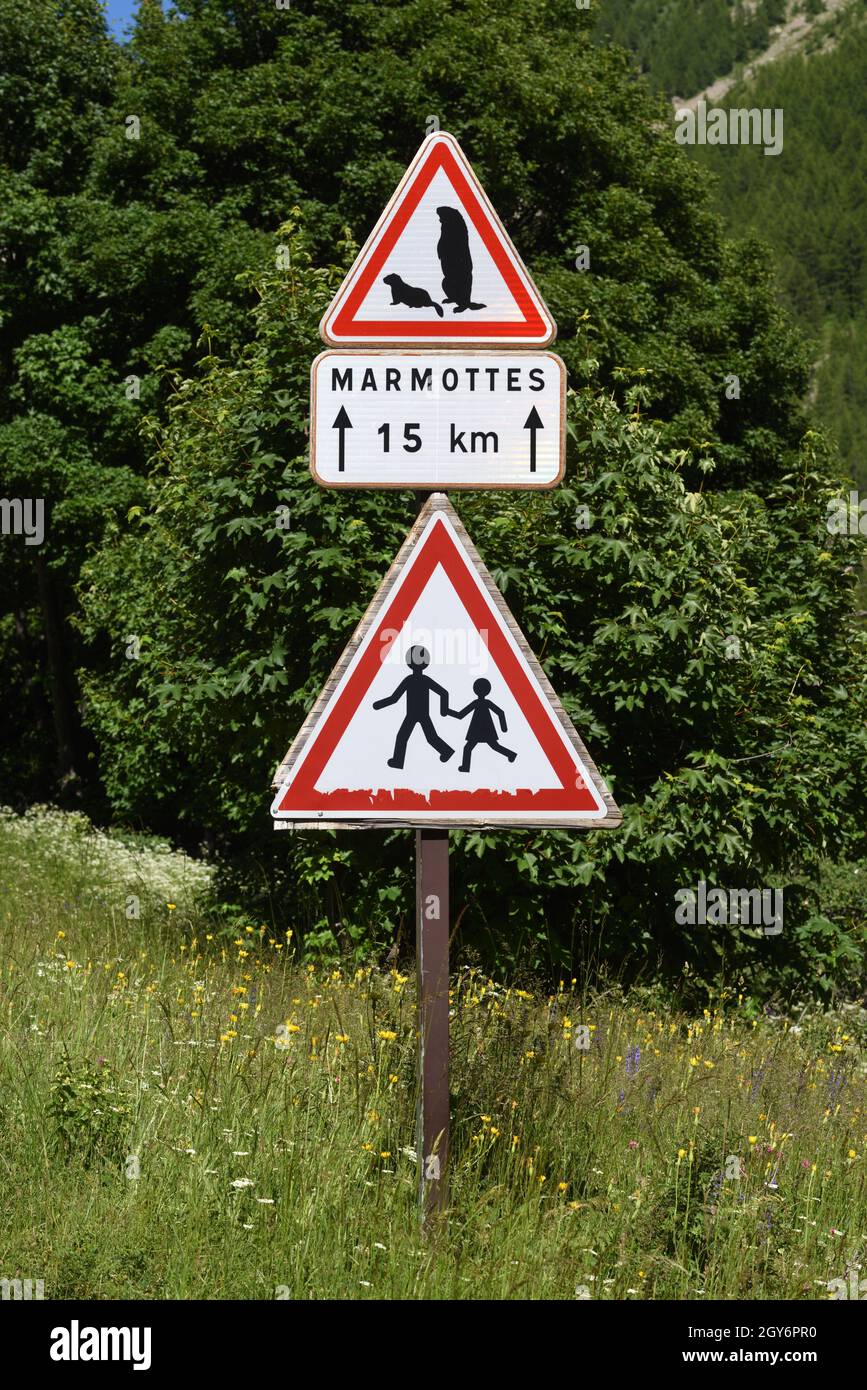 Dreieckiges Warnschild Vorsicht vor Murmeltieren & Kindern auf dem Weg zum Col de la Cayolle im Nationalpark Mercantour in den französischen Alpen Frankreich Stockfoto