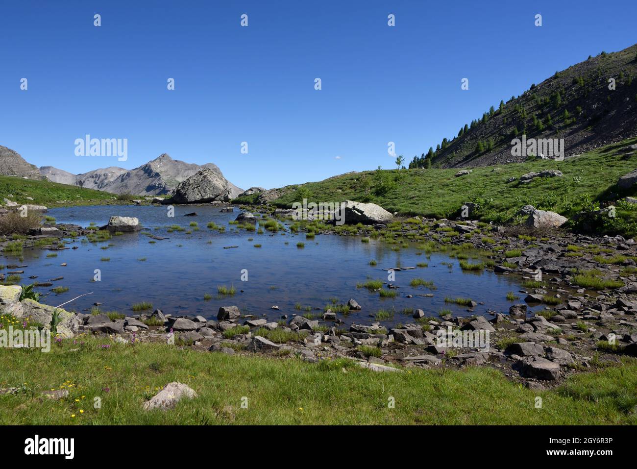 Hochgebirgssee am Col de la Cayolle Mountain Pass oder Alpine Pass im Nationalpark Mercantour Französische Alpen Frankreich Stockfoto