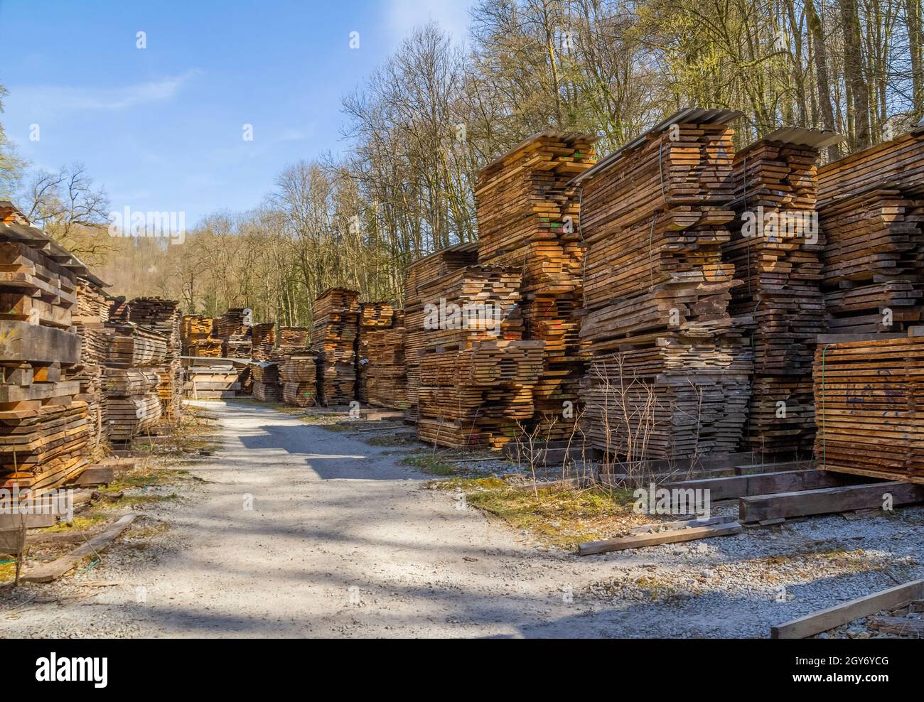 Viele gestapelte Holzbretter auf einem Holzhof Sonniges Ambiente Stockfoto
