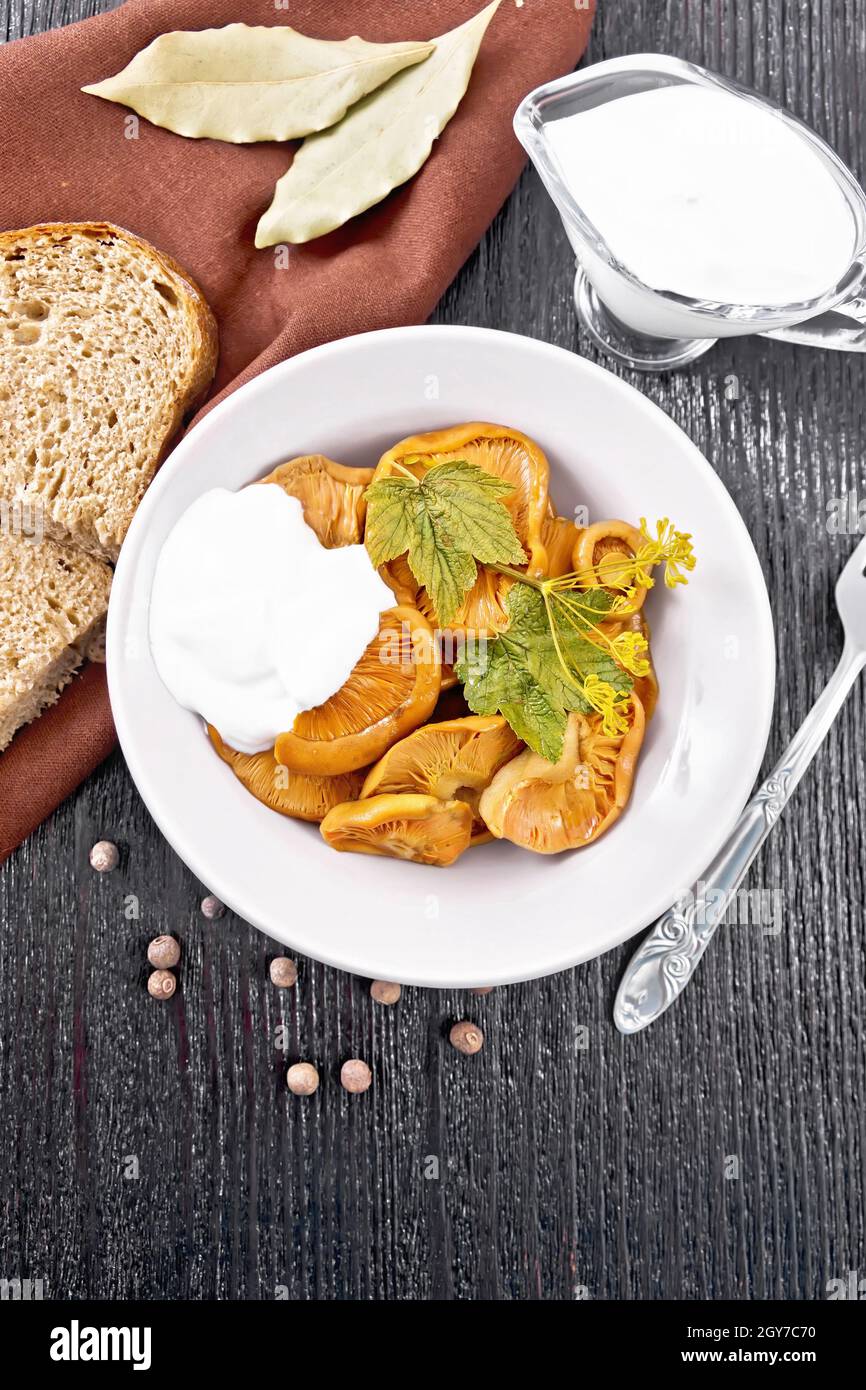 Gesalzener Champignons-Safran mit Sauerrahm, Johannisbeerblatt und Dill-Zweig in Teller, Gabel, Serviette und Brot auf schwarzem Holzbrett-Hintergrund von oben Stockfoto