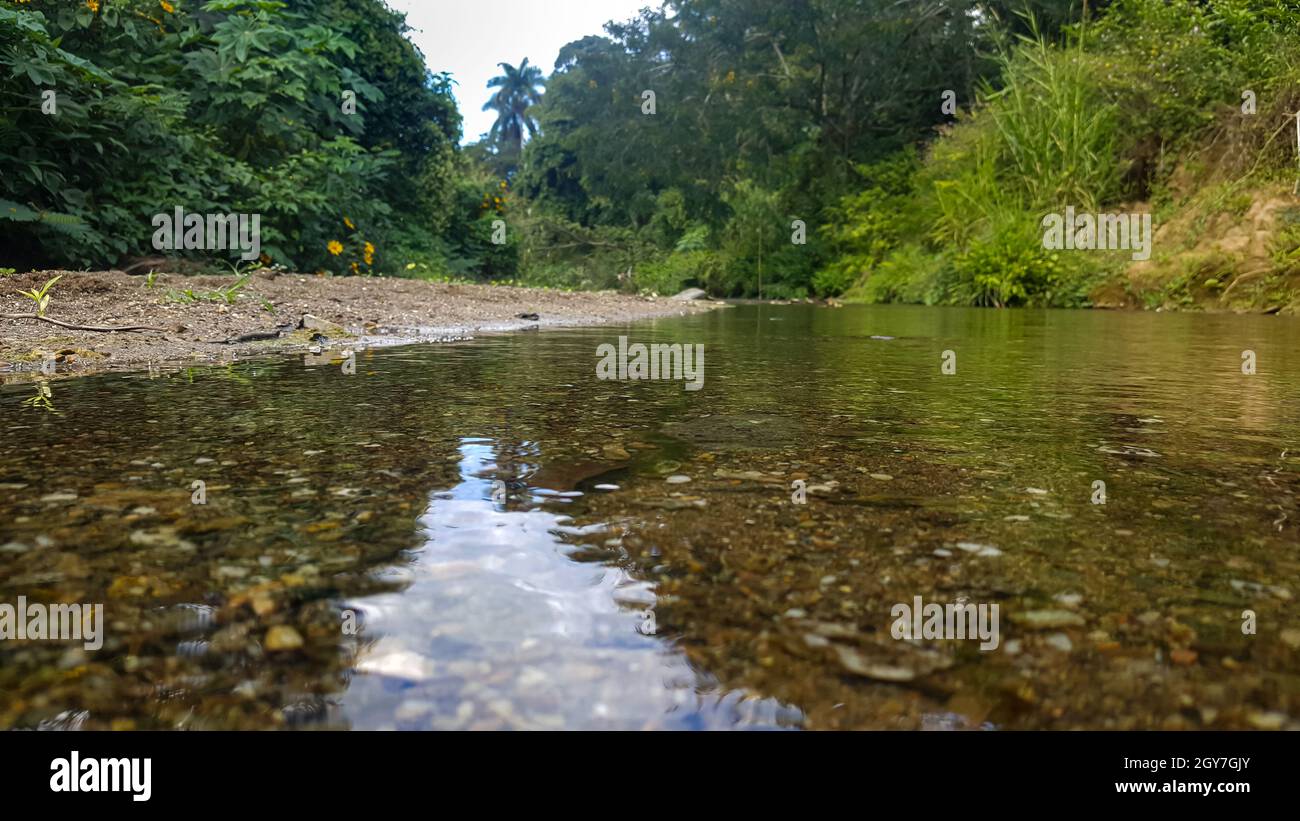 rio de agua cristalina Stockfoto