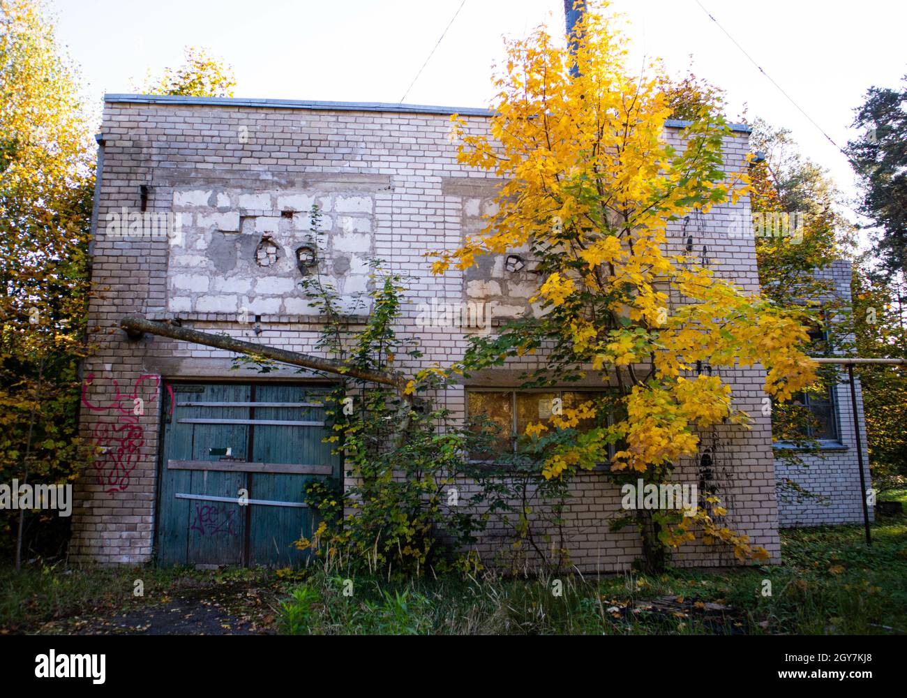 Die Natur übernimmt die Stadt. Verlassene Gebäude Stockfoto