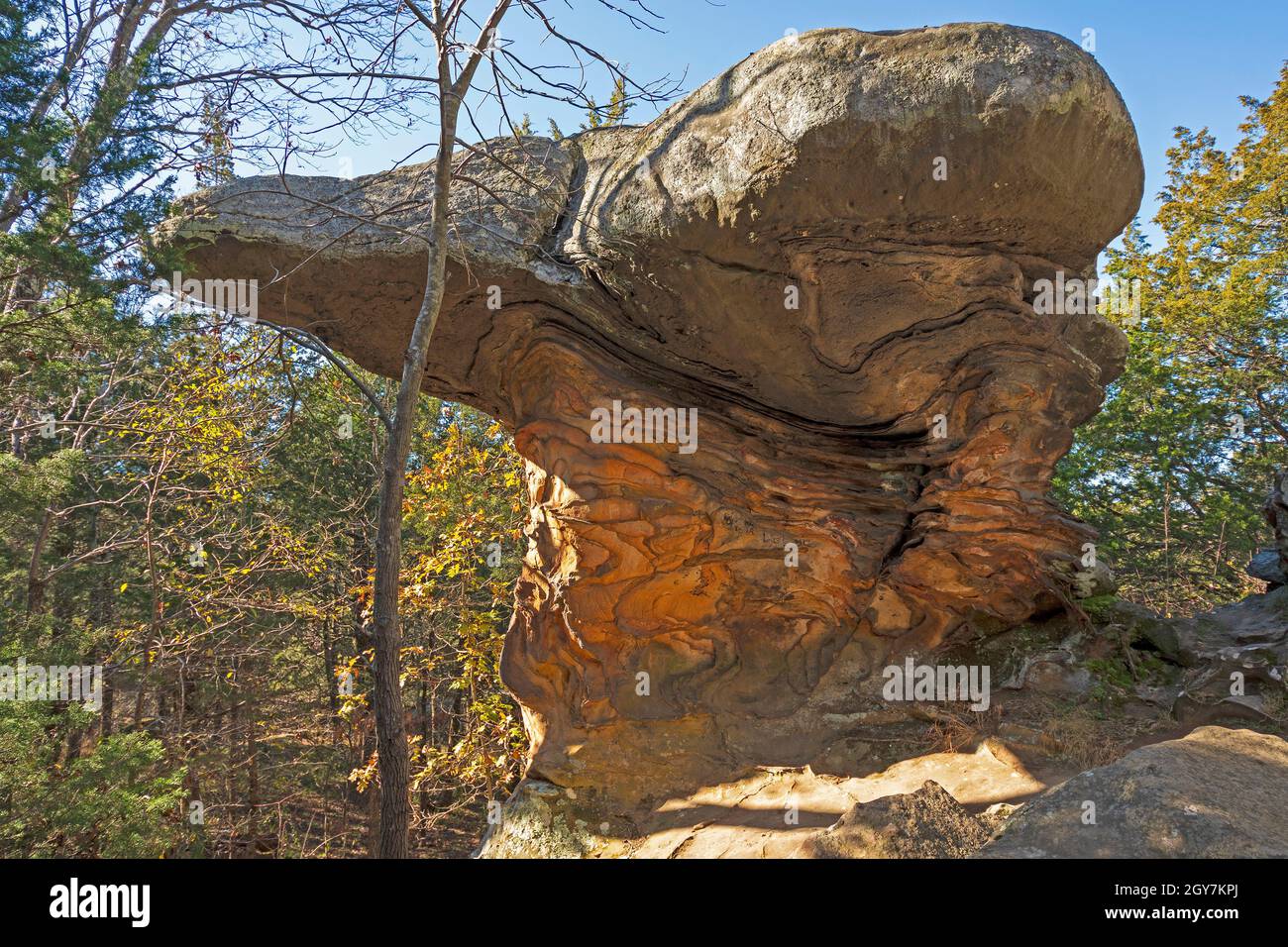 Bizarre Felsformationen im Wald im Erholungsgebiet Gardenof the Gods in Illinois Stockfoto