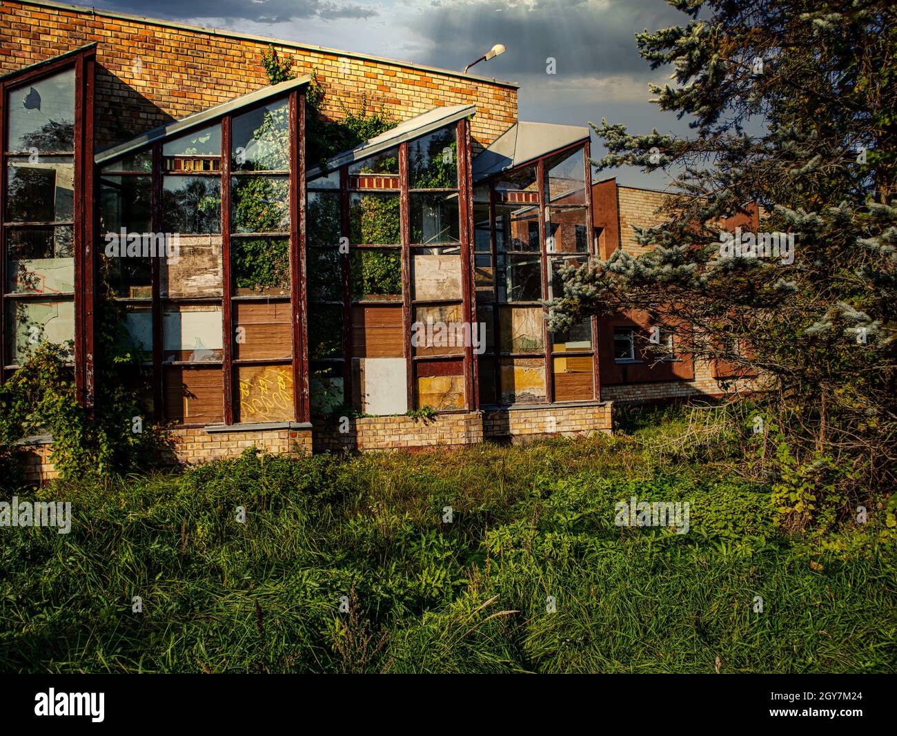 Die Natur übernimmt die Stadt. Verlassene Gebäude Stockfoto