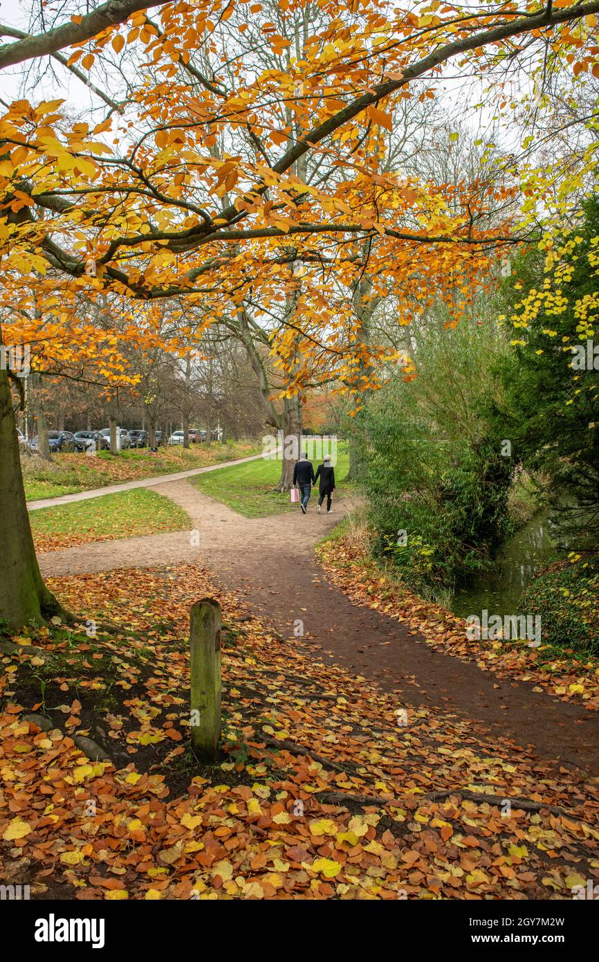 Das homosexuelle Paar hält die Hände, die im Winter auf einem mit gelben und braunen Blättern bedeckten Weg gehen Stockfoto