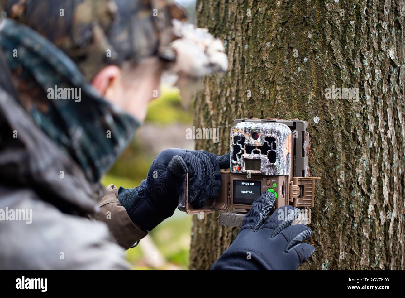 Naturliebhaber, die eine Wanderkamera am Baum und die Bedientasten einrichten. Naturforscher bereitet Gerät, um lokale Tiere mit Bewegungen zu überwachen Stockfoto