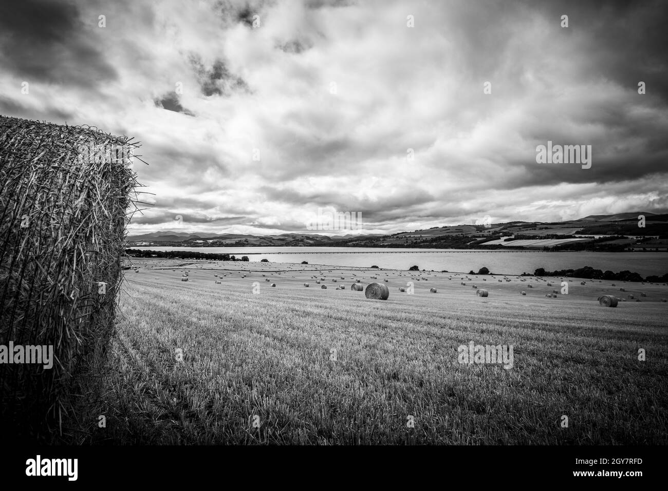 Heuballen verstreuten sich über die fast geernteten Felder mit Blick auf die Cromarty Bridge in den schottischen Highlands Stockfoto